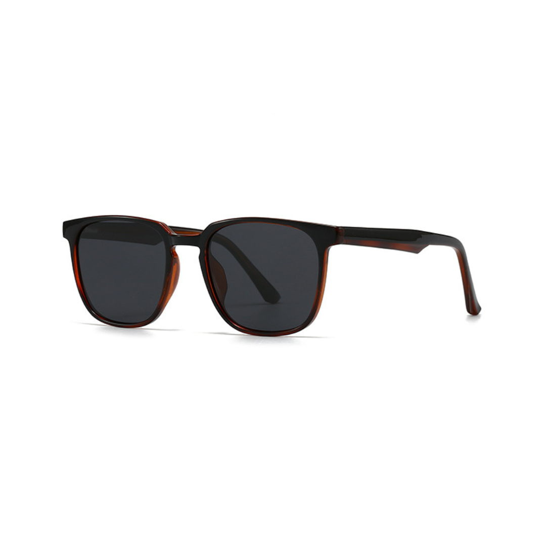 Polar Vision – Polarized Black & Tea (ET-SG10)
