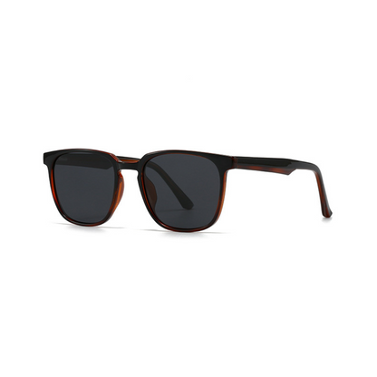 Polar Vision – Polarized Black & Tea (ET-SG10)