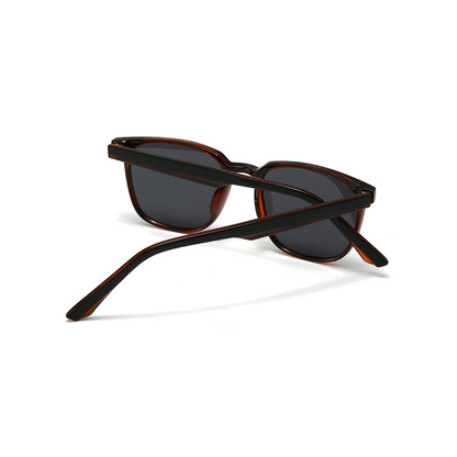 Polar Vision – Polarized Black & Tea (ET-SG10)